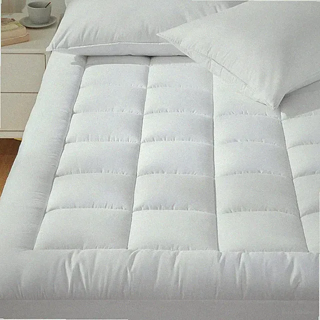 Luxury 4-Inch Mattress Topper with 360° Elastic Skirt Quilted Microfiber Cover